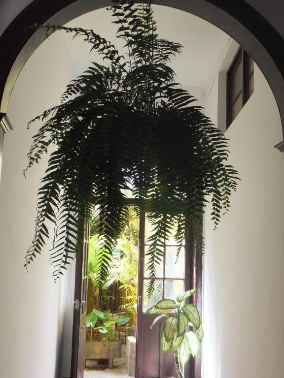 Casa Colonial Cejas Hotel Santa Cruz de Tenerife Luaran gambar