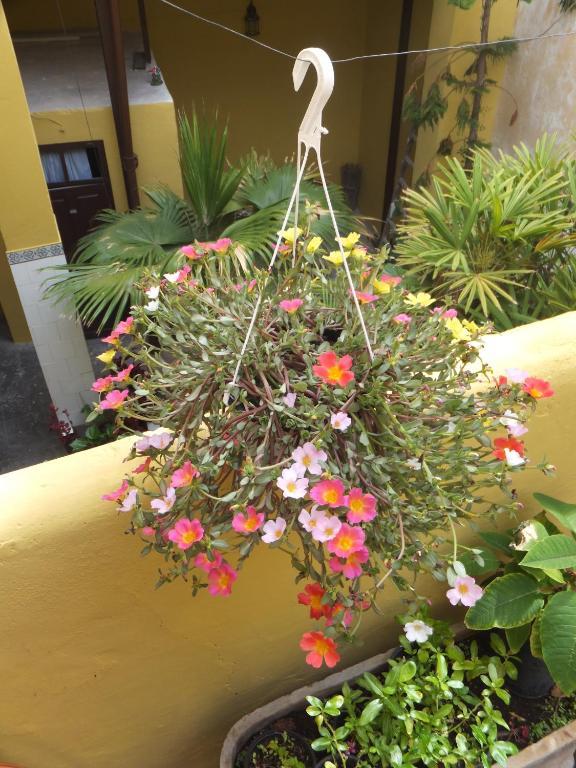 Casa Colonial Cejas Hotel Santa Cruz de Tenerife Luaran gambar