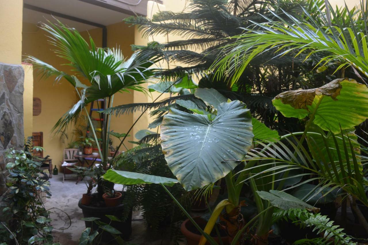 Casa Colonial Cejas Hotel Santa Cruz de Tenerife Luaran gambar